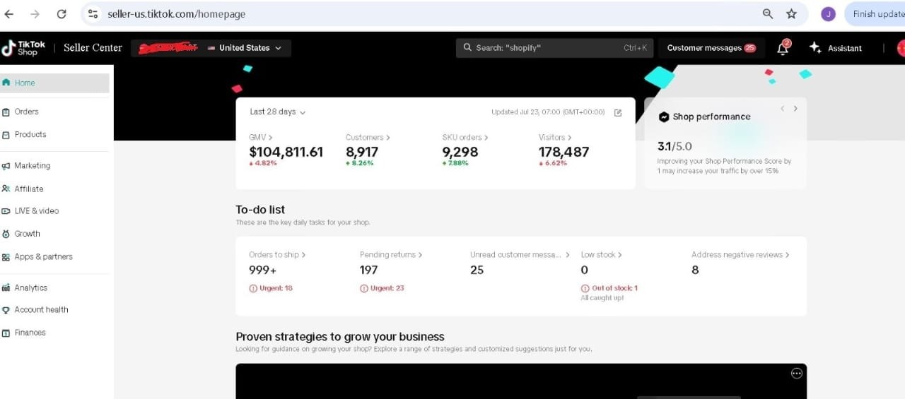 TikTok Shop sales overview
